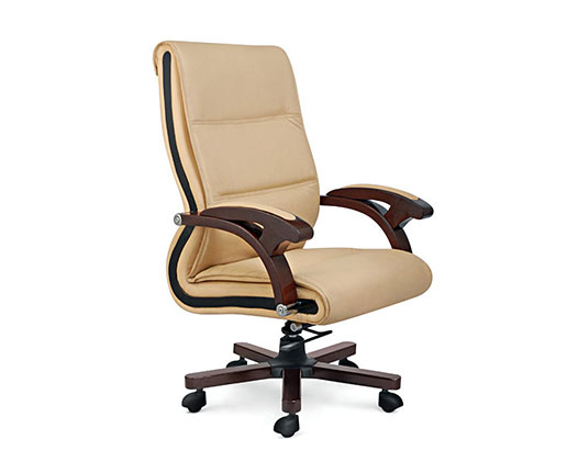 Boss Chair In Noida