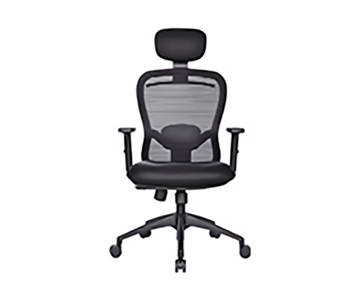 Ergonomic Chair In Noida